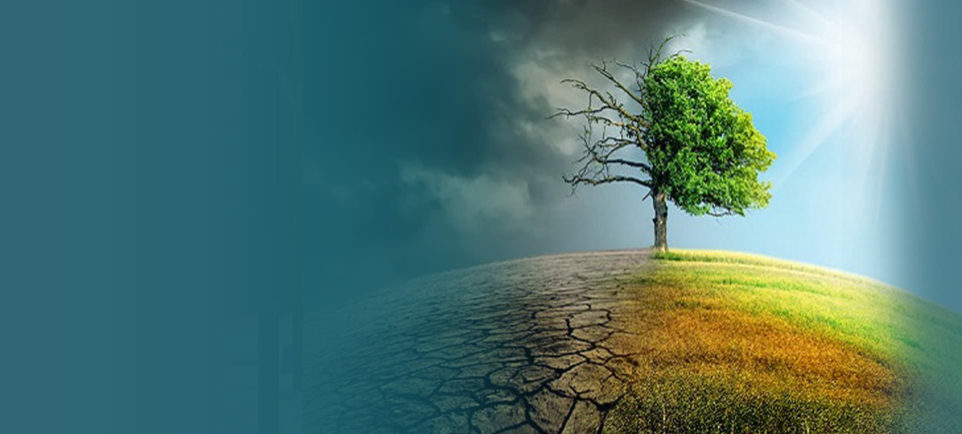 background-image