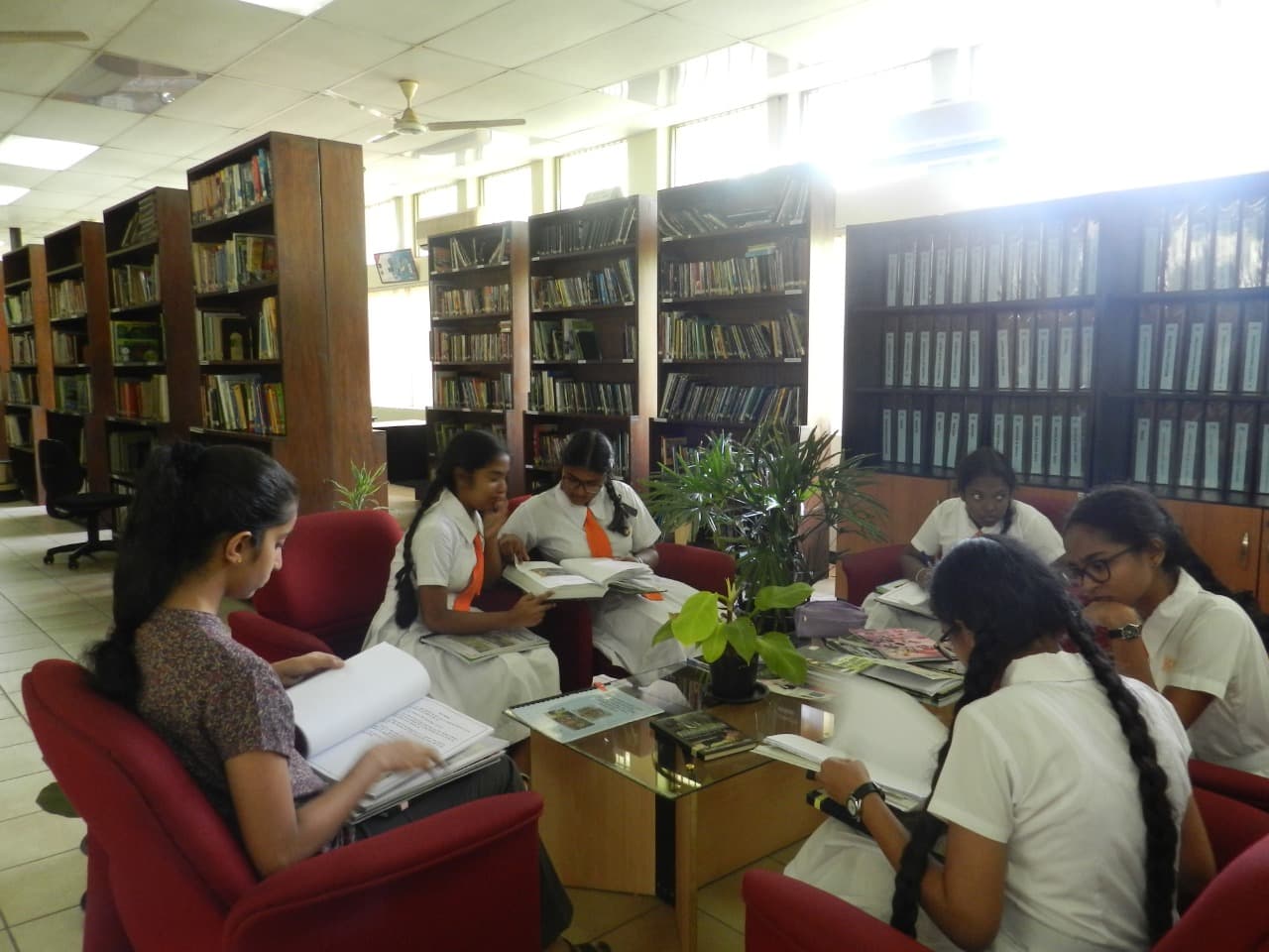 Development of environmental libraries's image